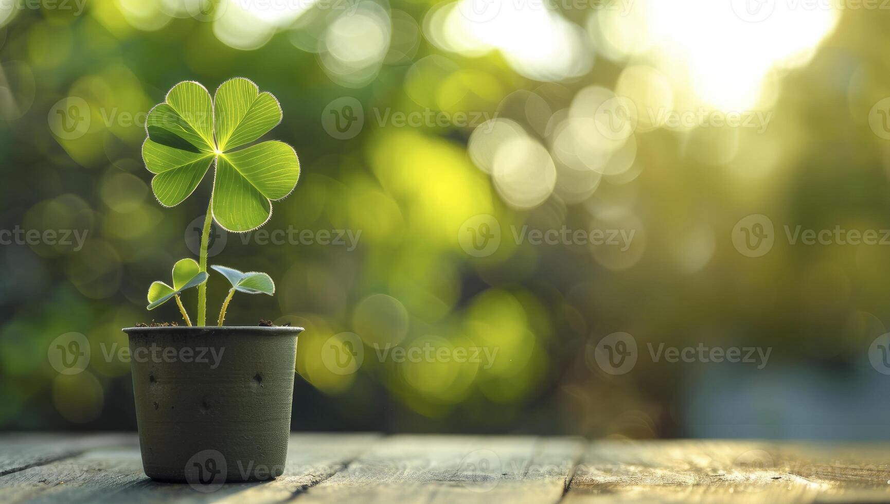 A green clover growing in a pot on a wooden table with a blurred nature background photo