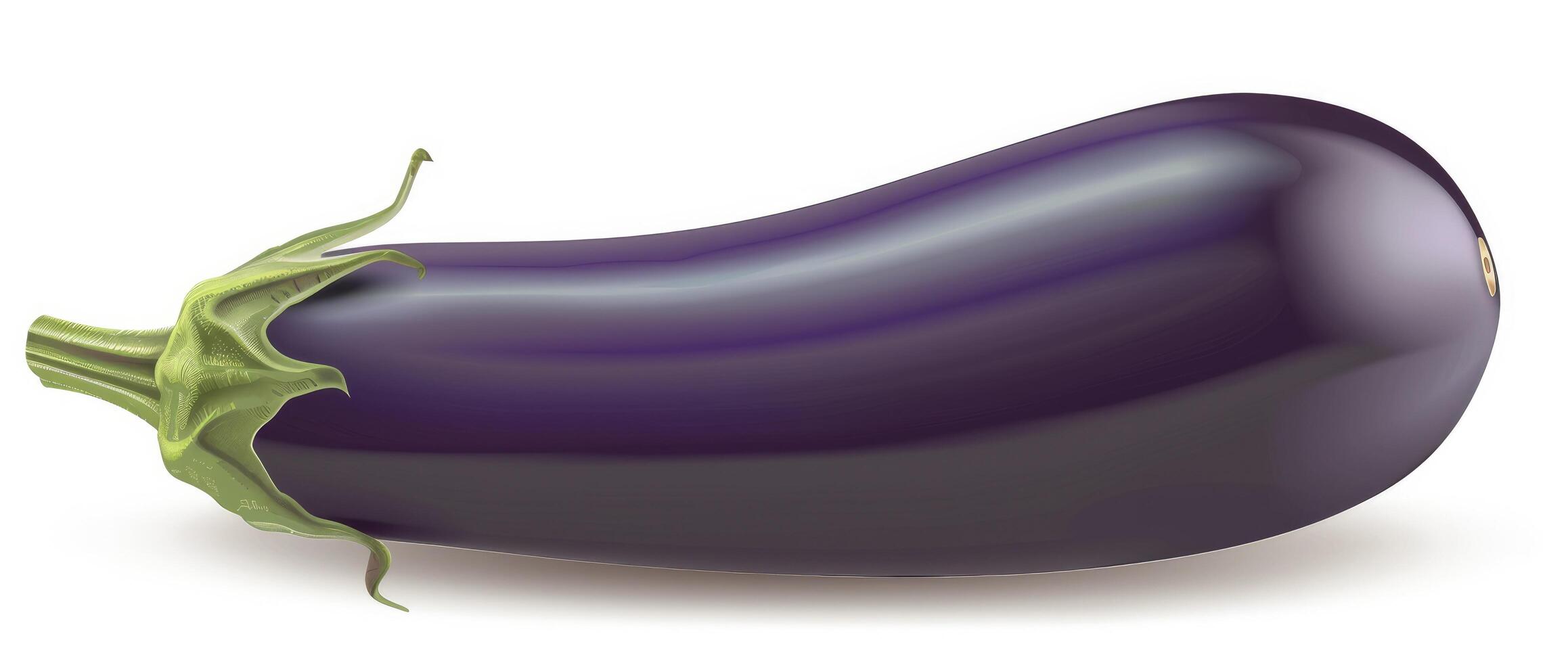 Eggplant isolated on a white background, with no shadow or reflection photo