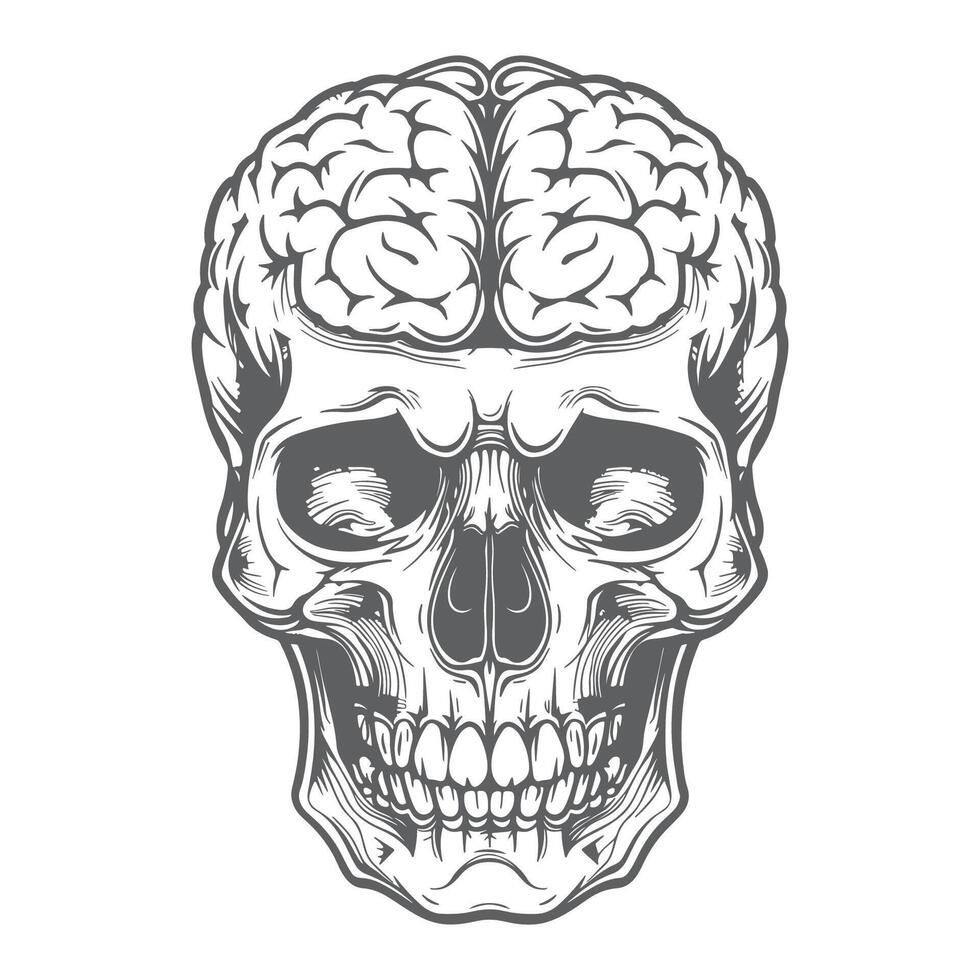 Timeless Anatomy Skull with Exposed Brain in Monochrome vector