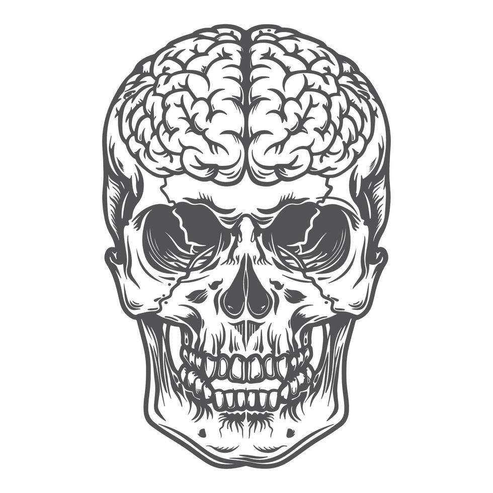 Skull and Brain A Vintage Monochrome Perspective vector