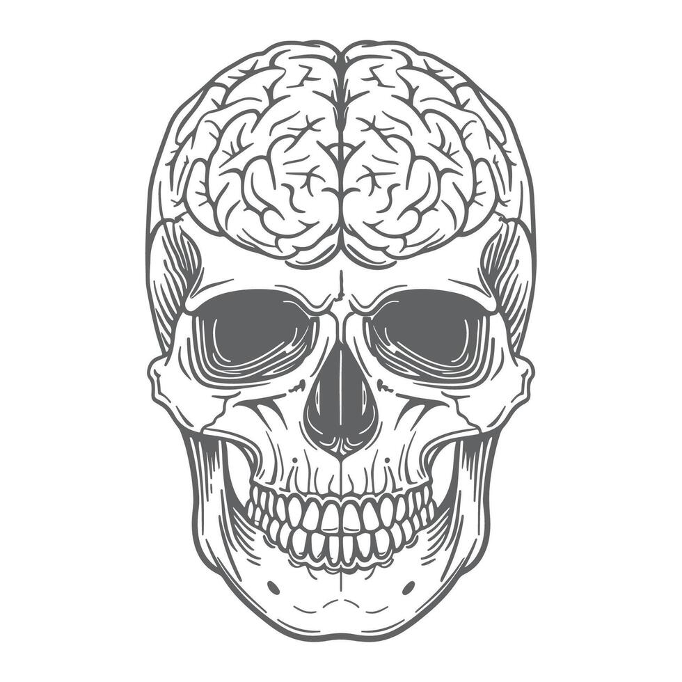 Exposed Brain in a Skull Retro Monochrome Artwork vector