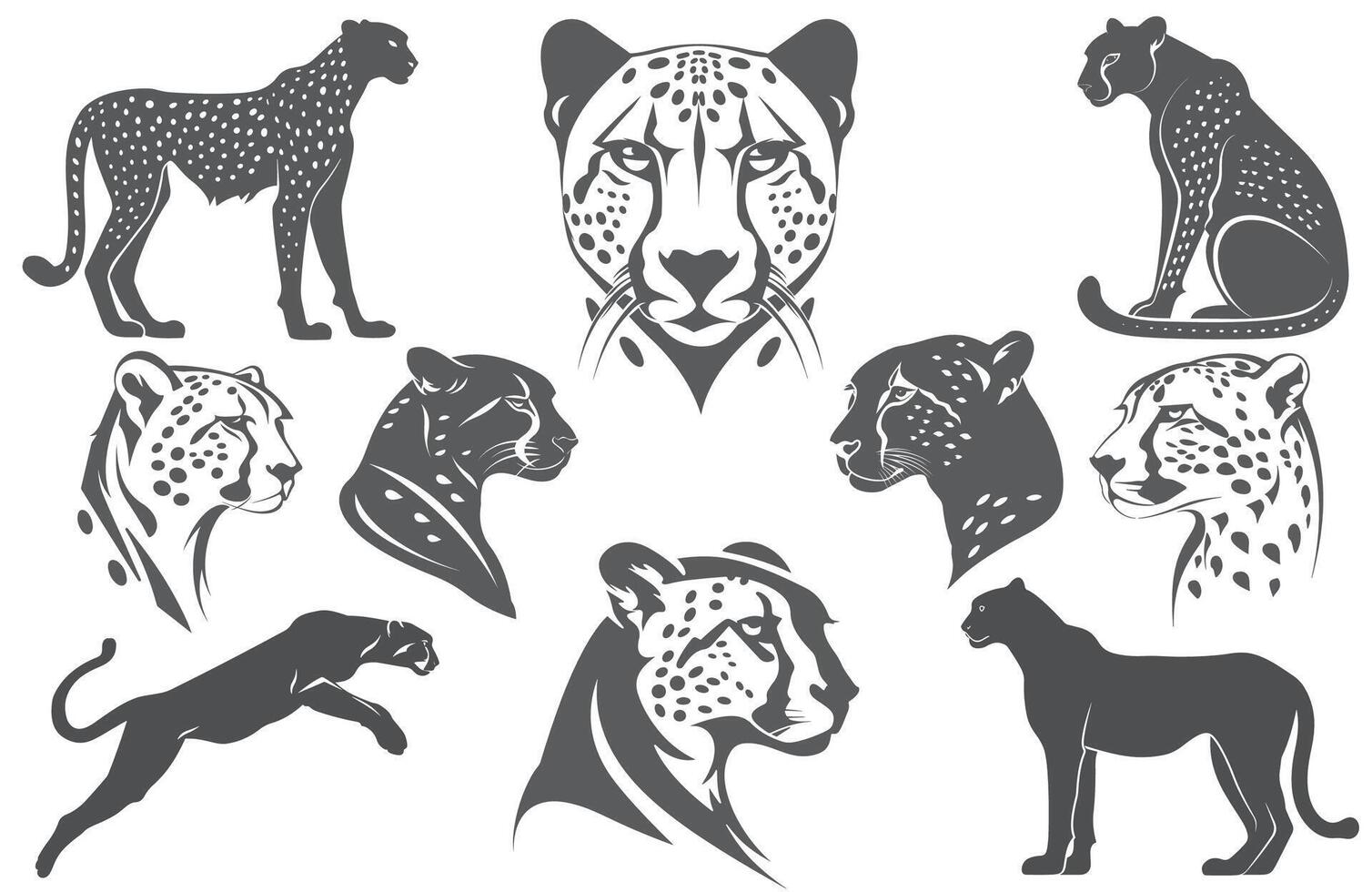 Premium Cheetah Silhouette Set High Quality Graphics for Designers vector