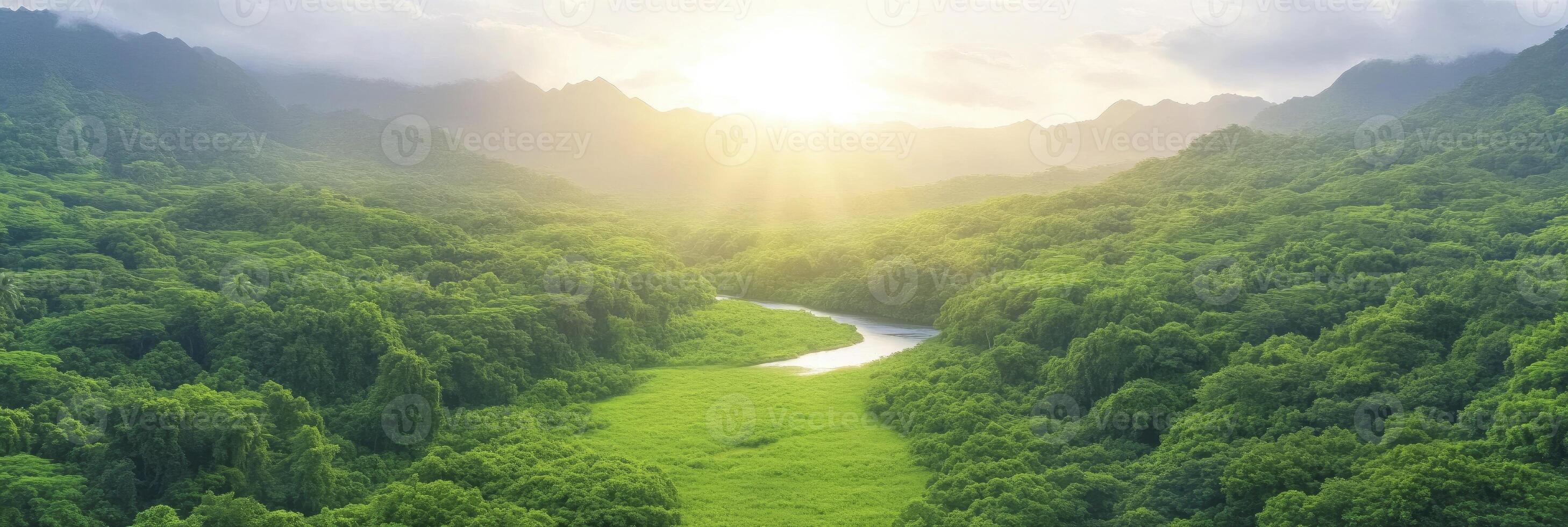 sun beams and a verdant valley in the Hawaiian jungle. photo