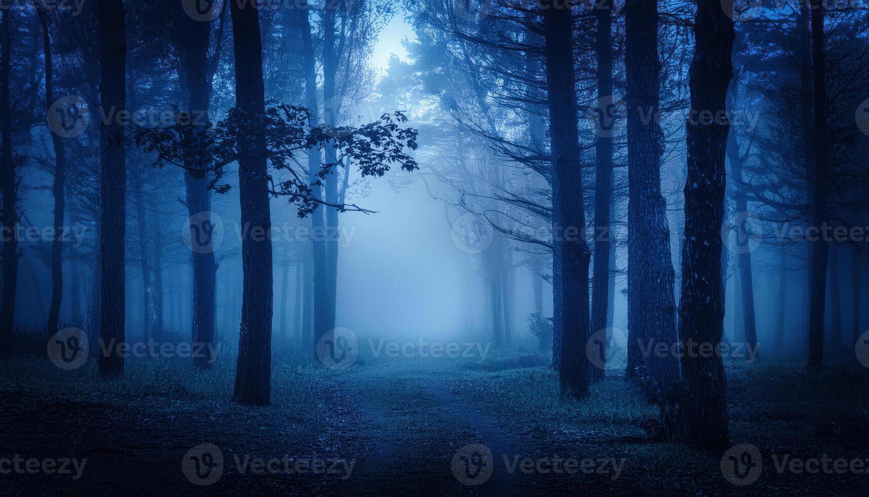 The forest at night with fog creepy atmosphere landscape haunting illustration background photo