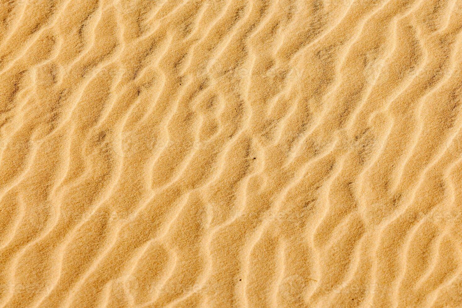 Sand texture close up photo