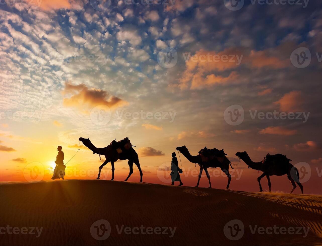 Two cameleers camel drivers with camels in dunes photo