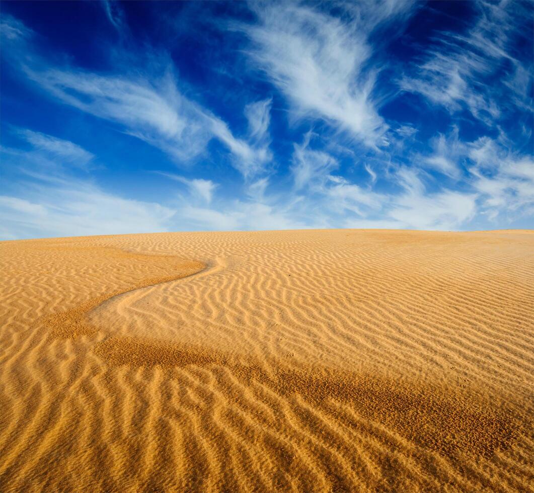 Desert sand dunes on sunrise photo