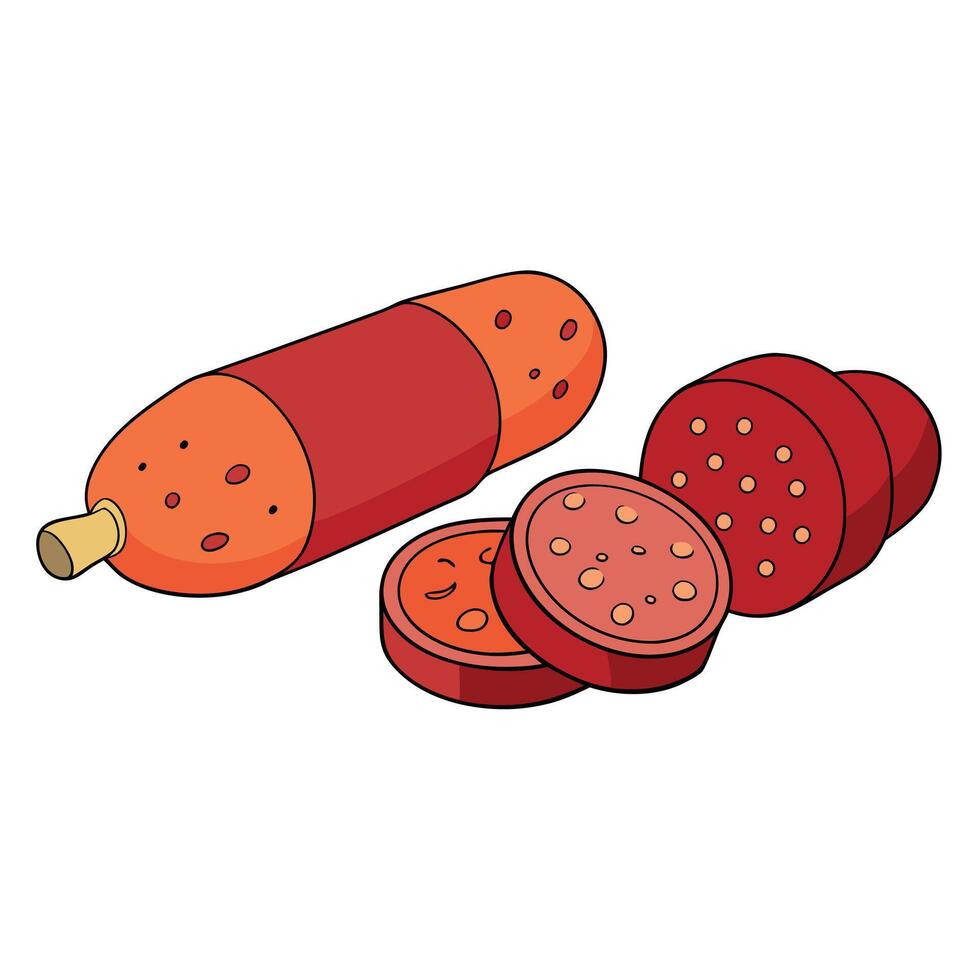 Assorted Slices of Salami and Other Meats on White Background vector