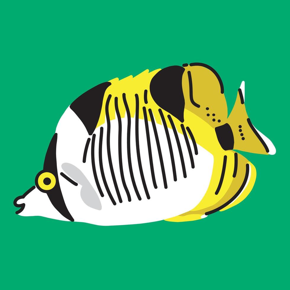 a a snout-mouthed True Falcula Butterfly Fish vector