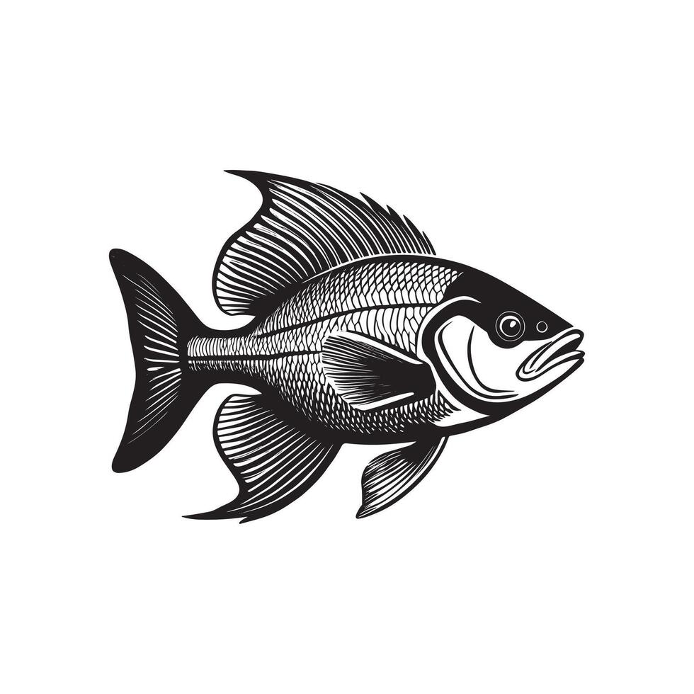 Modern Marine Fish Silhouette Illustration vector