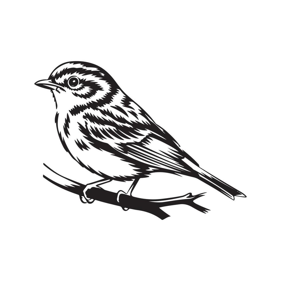 Elegant Bird Silhouette Design for Digital Art vector