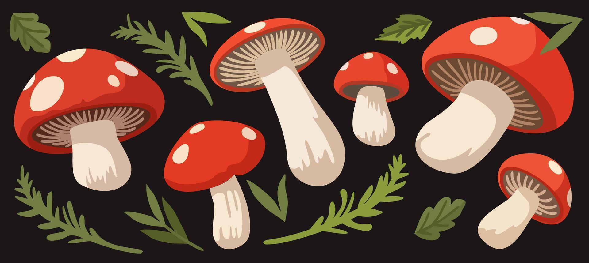 set of bright fly agaric mushrooms and forest green branches on black background vector