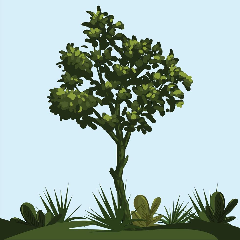 Grass, Plant with leaf. vector