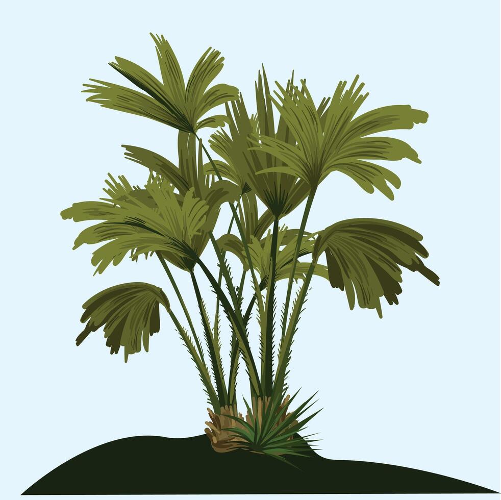 Coconut tree bunch with sky Background. vector