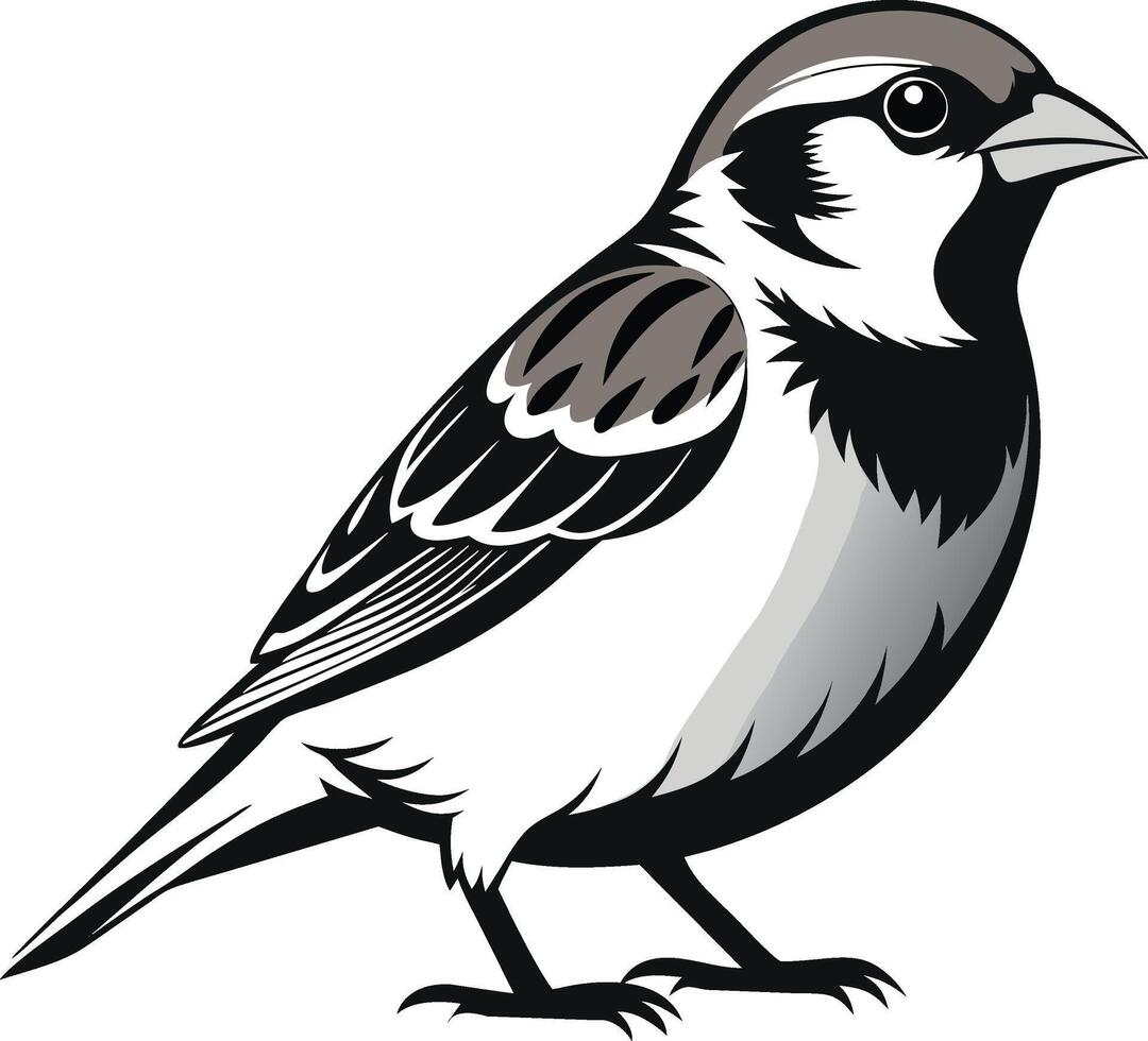 sparrow bird silhouette illustration. vector
