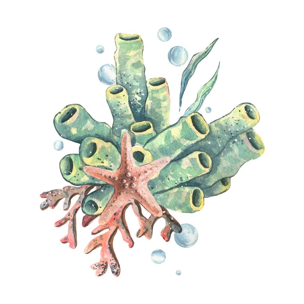 Starfish, coral, sea sponge, algae and bubbles. Hand drawn watercolor illustration on the theme of sea animals and the underwater world. Composition isolated from the background. vector