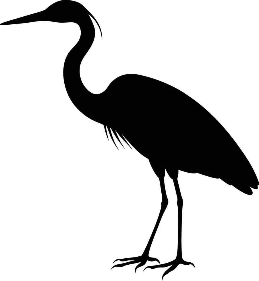 Heron Silhouette Framed by Golden Light Dawns Peaceful Reflection vector
