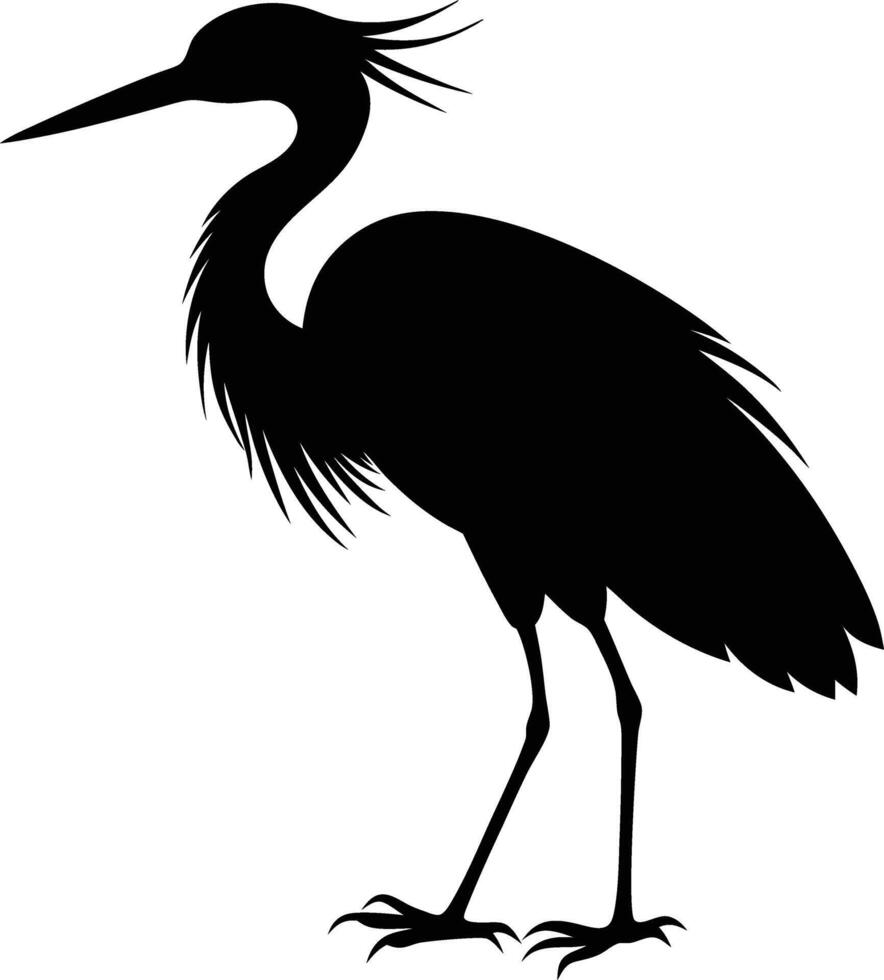 Graceful Heron Silhouette Against Sunset A Serene Waters Edge vector