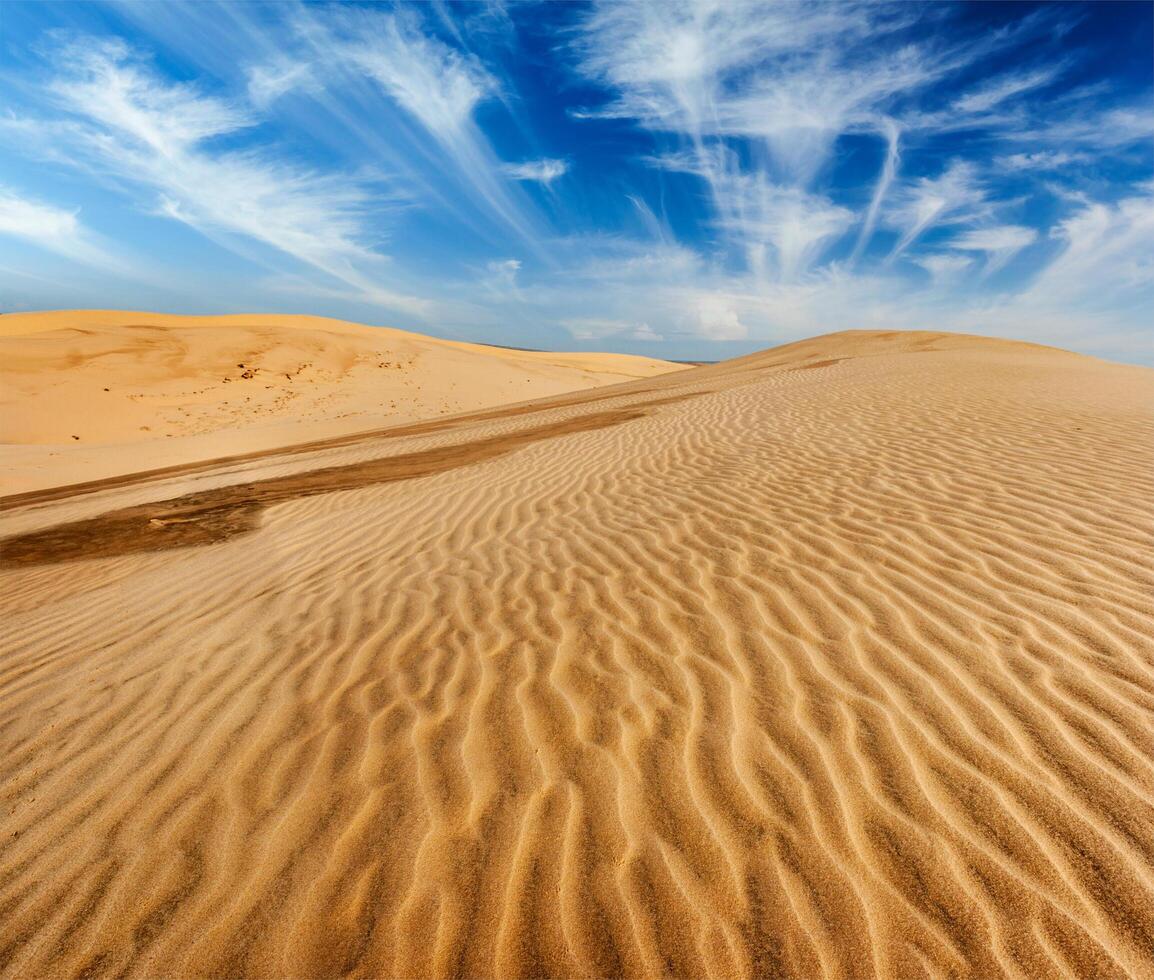 Desert sand dunes on sunrise photo
