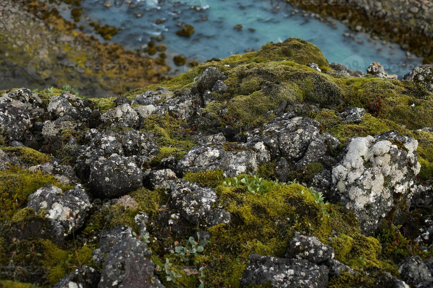 Moss covered lava field in a cloudy day. Iceland photo