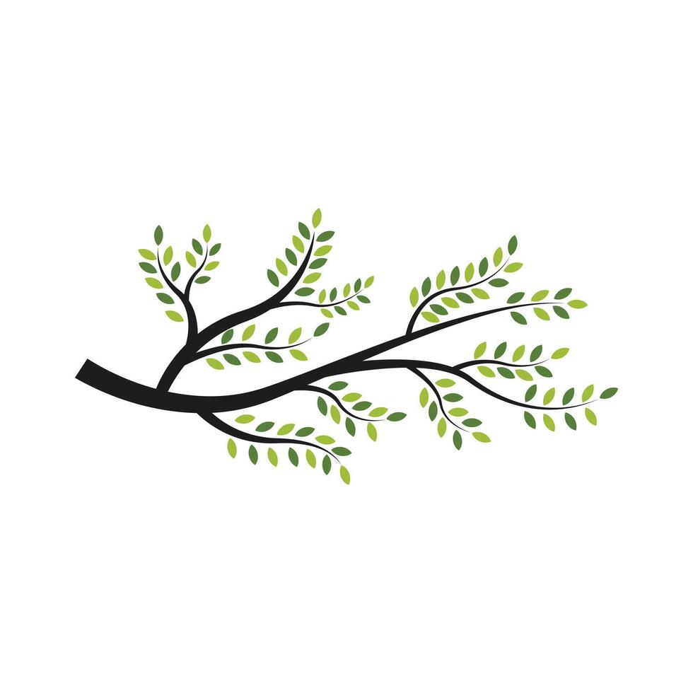 branch of a tree leaves design template vector