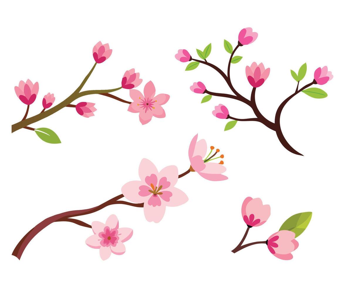 Cherry Blossom flower set isolated flat illustration on white background. vector