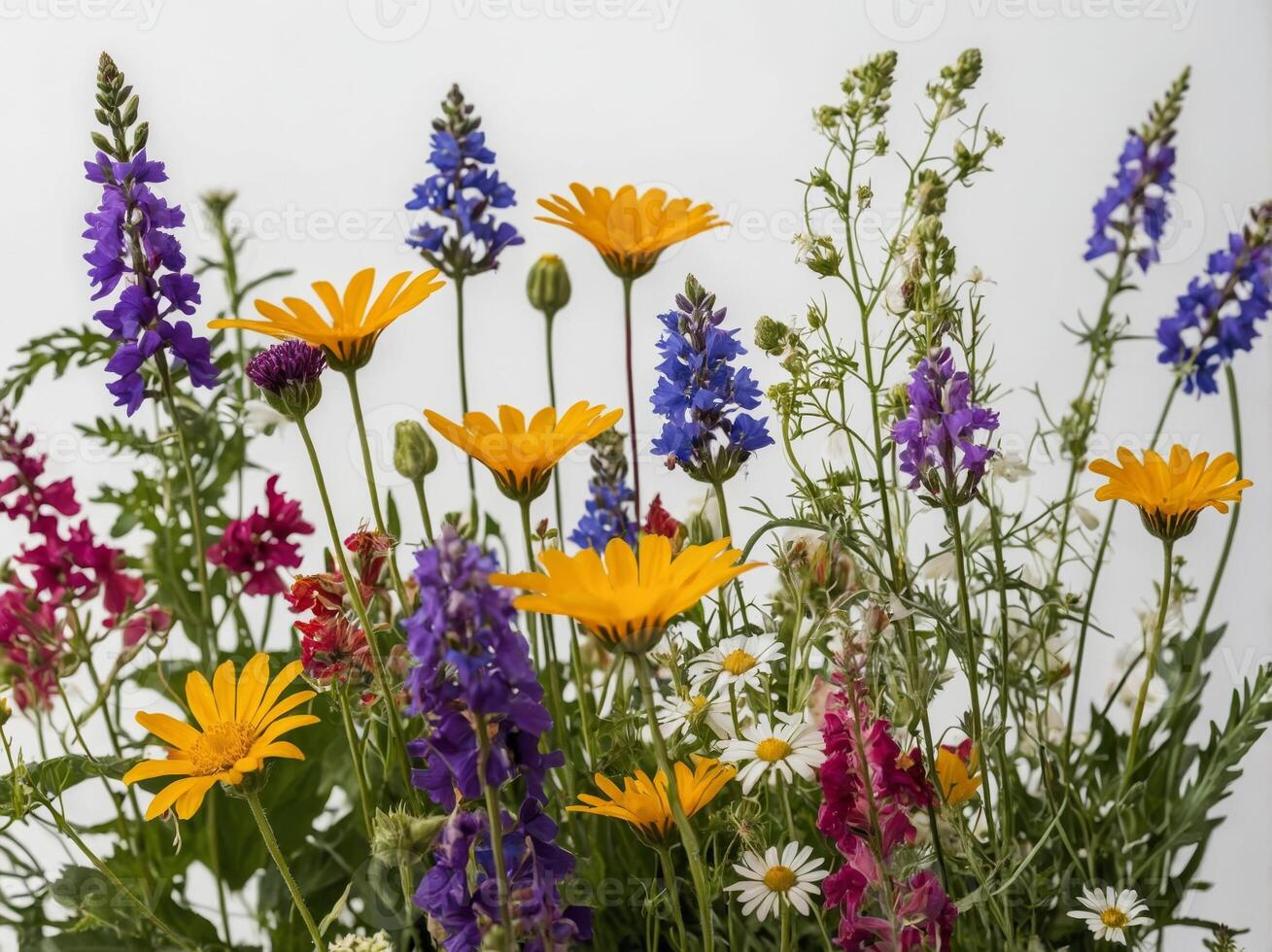 A vivid and diverse bouquet of wildflowers showcasing an array of vibrant colors and intricate shapes against a neutral background photo