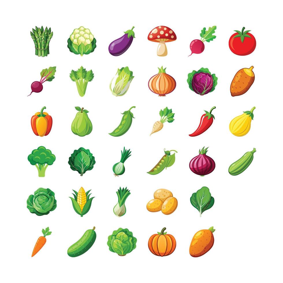 Different types of Fresh Vegetables set vector