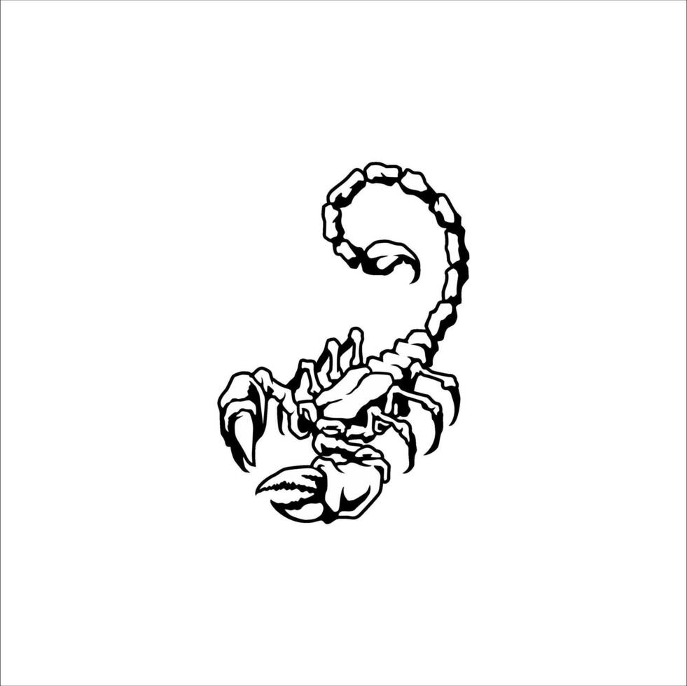 Scorpion animal on white background vector