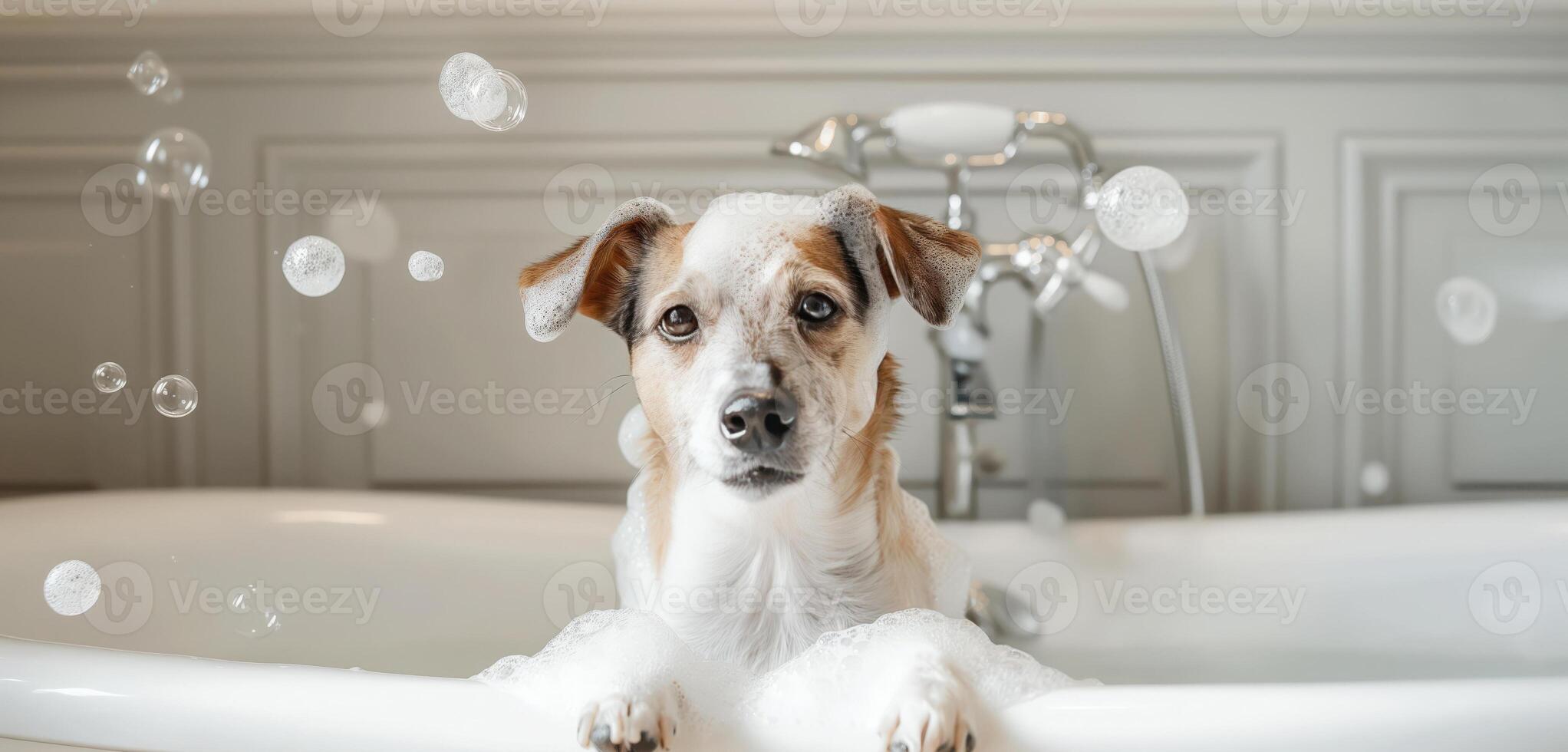 Cute dog in bubble-filled vintage bathtub, enjoying bath time surrounded by soap suds and foam. photo
