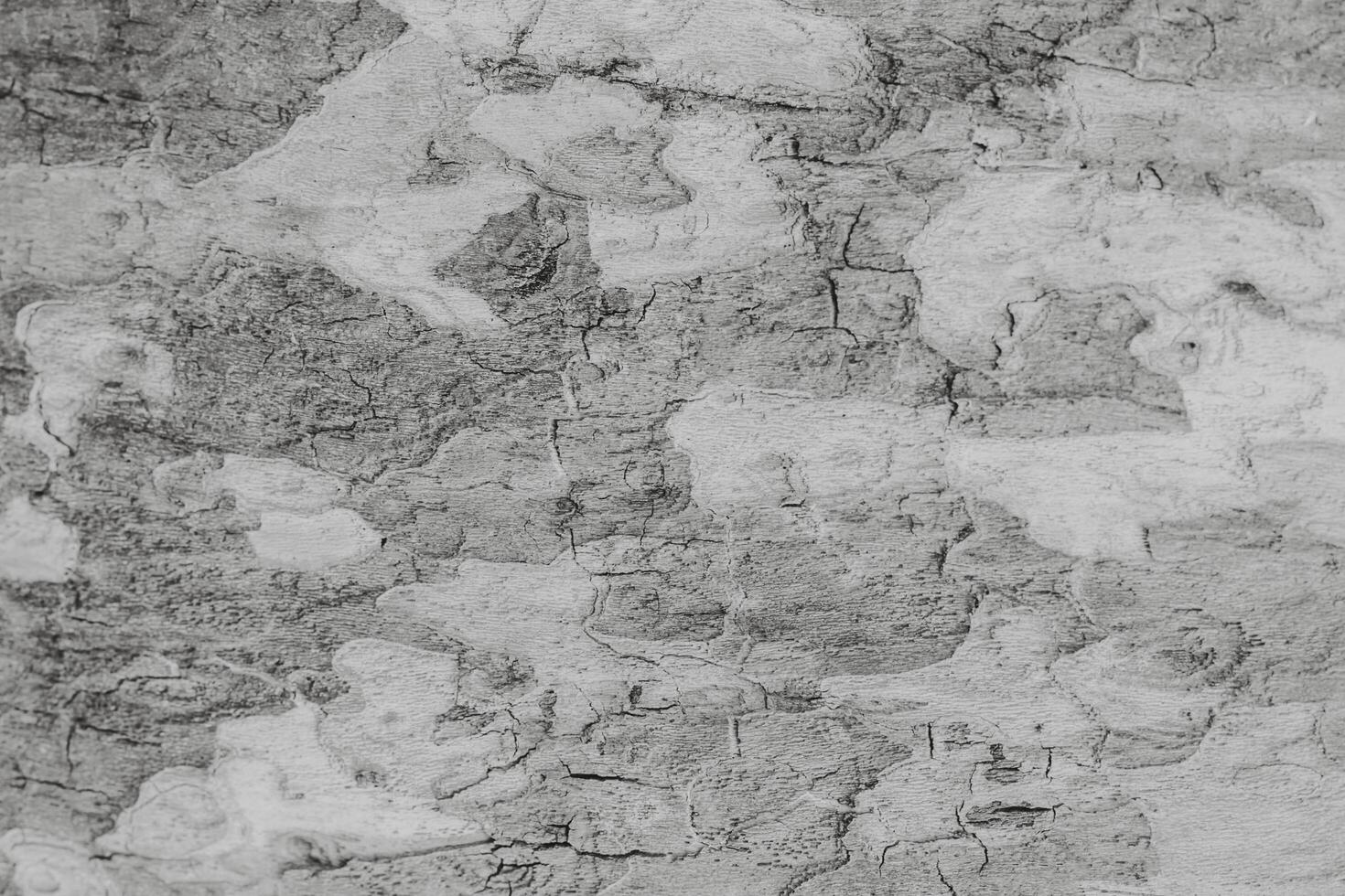 Grey rustic texture background with craquelure. Monochrome. photo