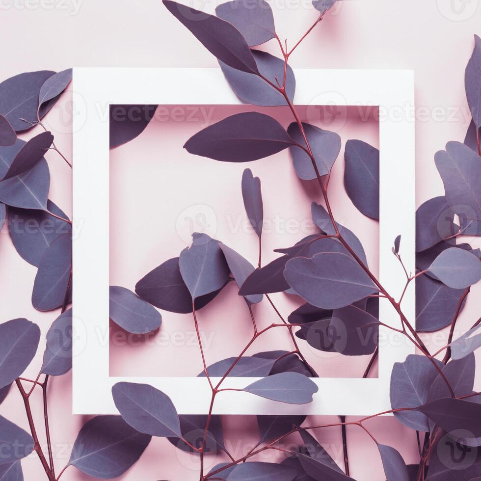 Natural Elegant background. Minimal summer concept. Eucalyptus branches and white square frame on pink background photo
