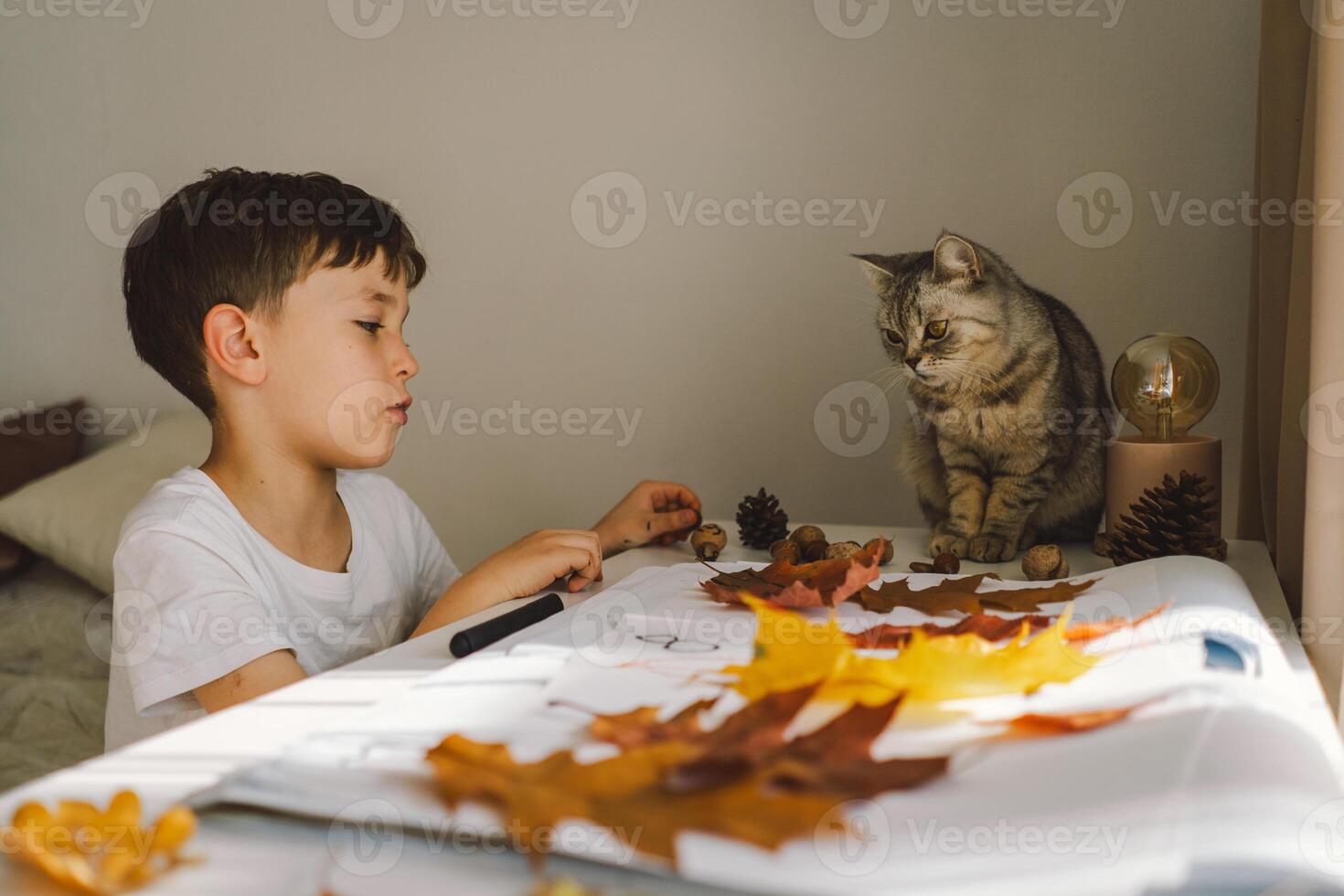 Boy Engaged in Creative Leaf Art Activity at Home with cat photo