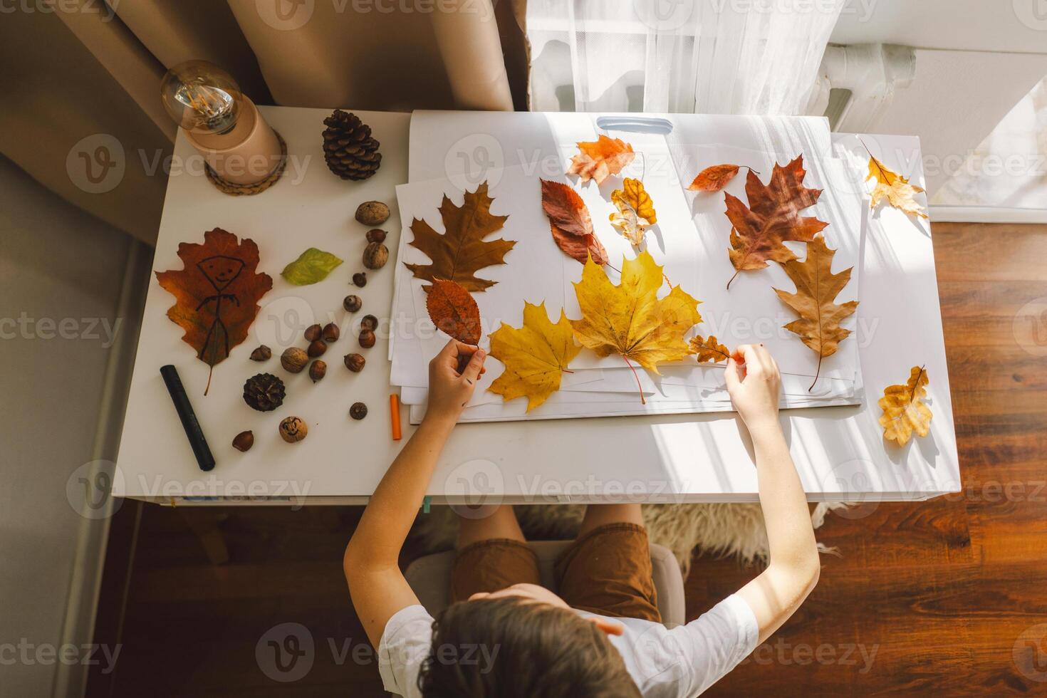 Young Boy Engaged in Creative Leaf Art Activity at Home on a Sunny day photo