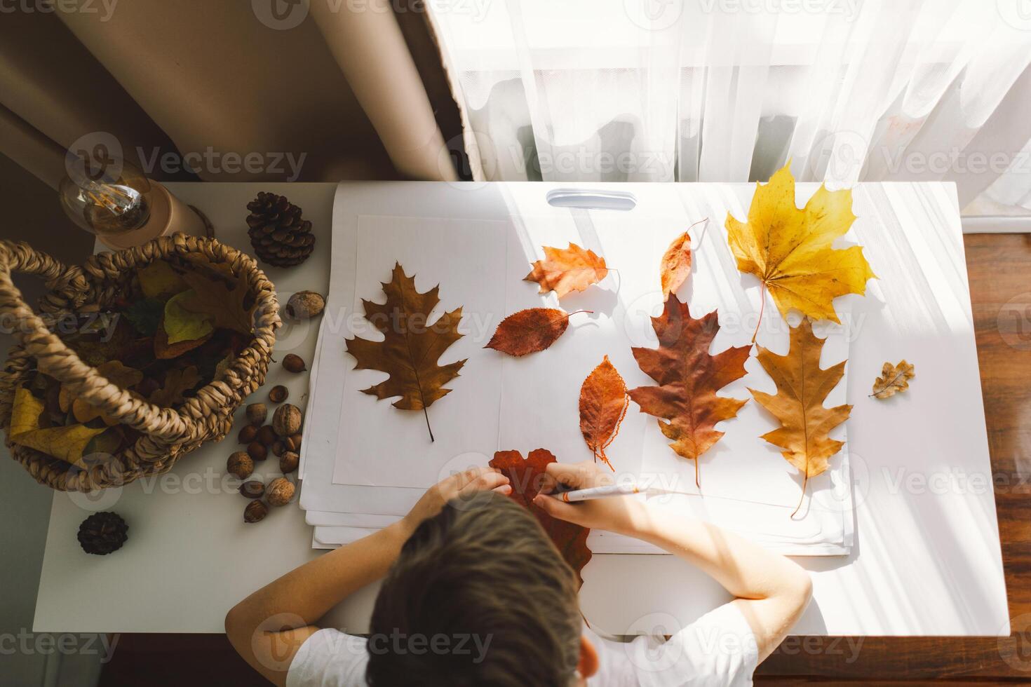 Young Boy Engaged in Creative Leaf Art Activity at Home on a Sunny day photo