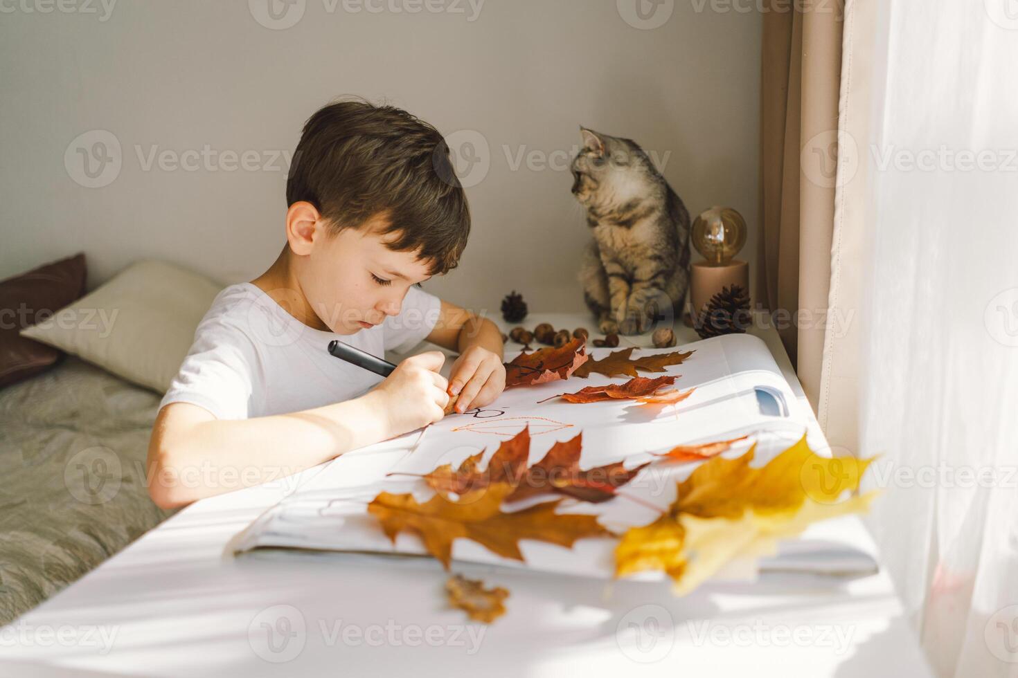 Boy Engaged in Creative Leaf Art Activity at Home with cat photo