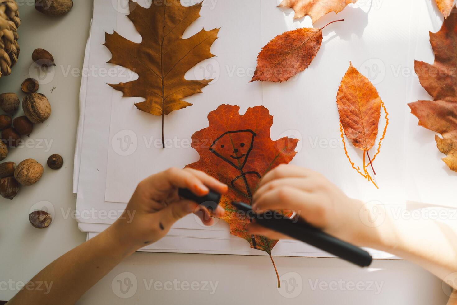 Young Boy Engaged in Creative Leaf Art Activity at Home on a Sunny day photo