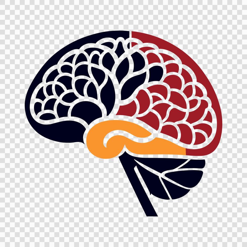 outline of an illustration of the human brain vector