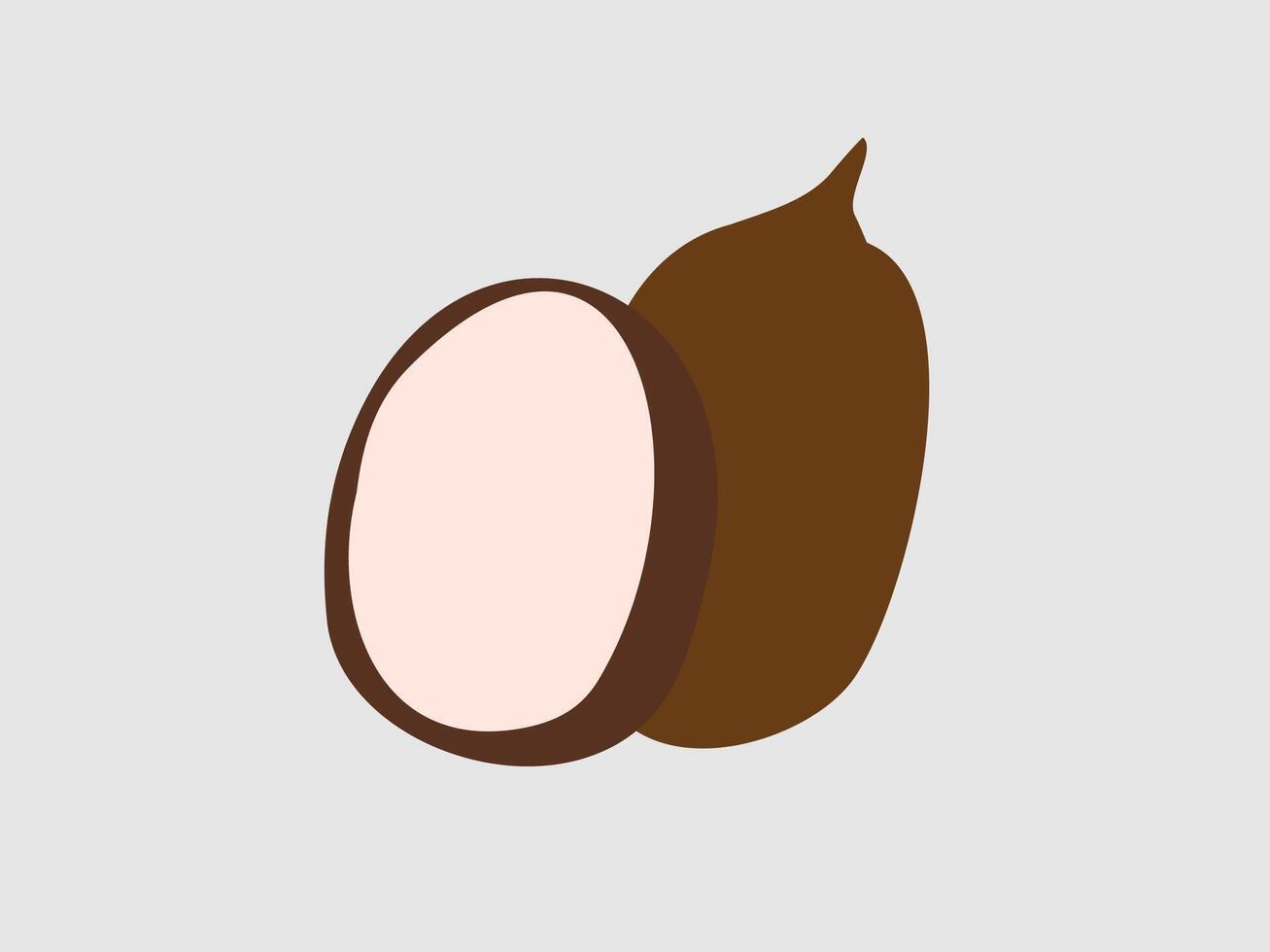 coconut illustration flat design vector