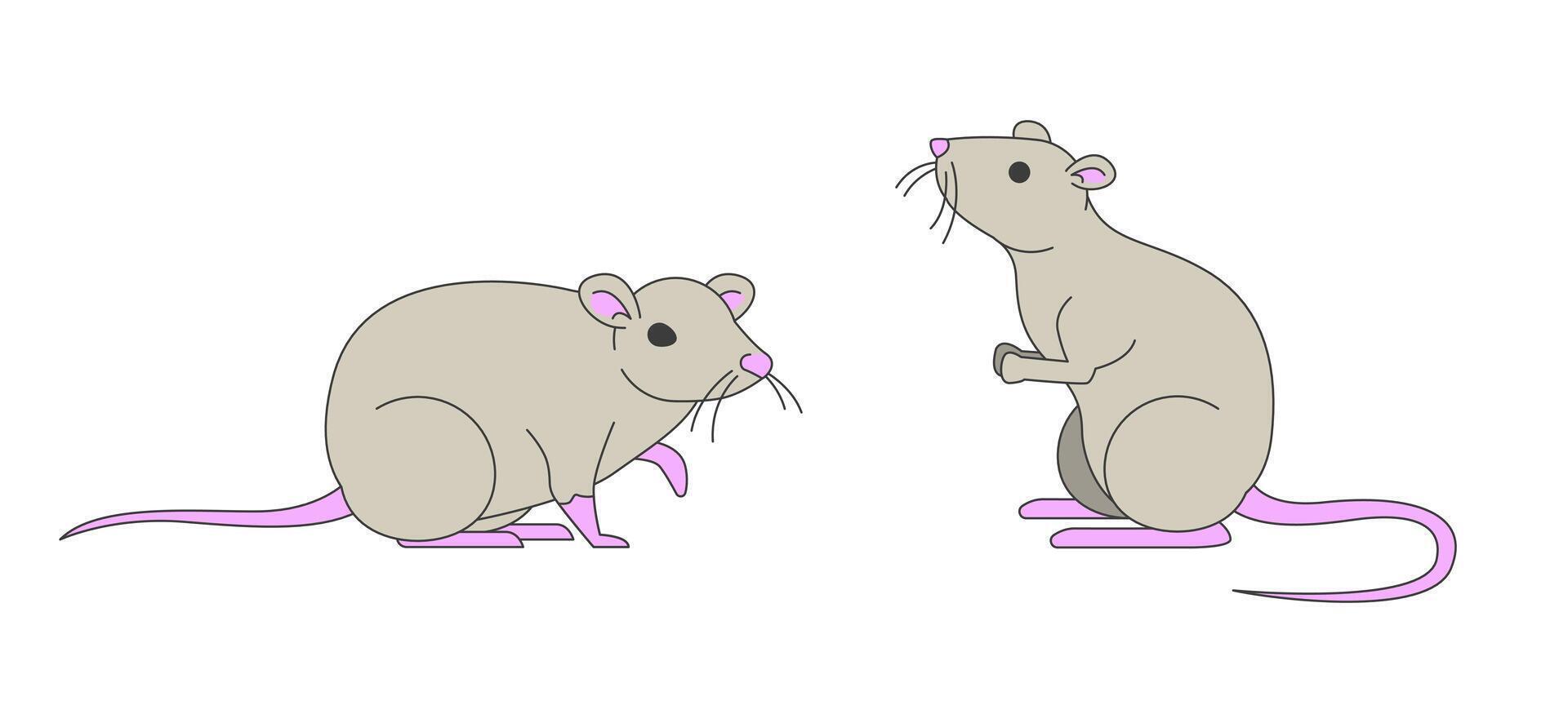 Couple of cute domesticated rats 2D cartoon characters. Adorable small animals asking for food. Funny rodent pets isolated personages flat on white background. Spot illustration colorful vector