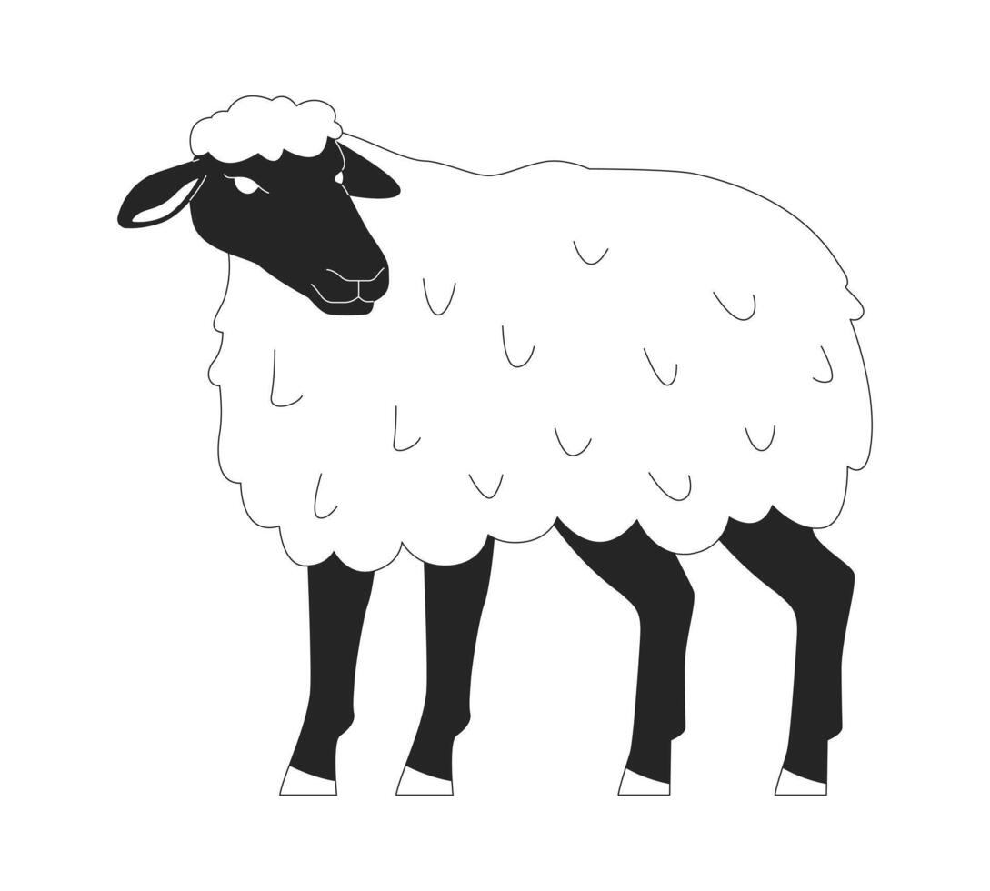 Black faced sheep standing black and white 2D line character. Expensive breed of farm animals cultivation. Livestock husbandry isolated outline personage. Monochromatic spot illustration vector