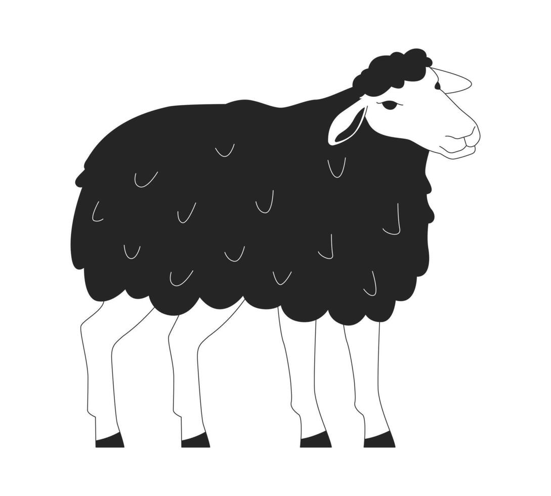 Funny sheep with fluffy wool black and white 2D line character. Healthy farm animal. Small livestock breeding at husbandry isolated outline personage. Monochromatic spot illustration vector