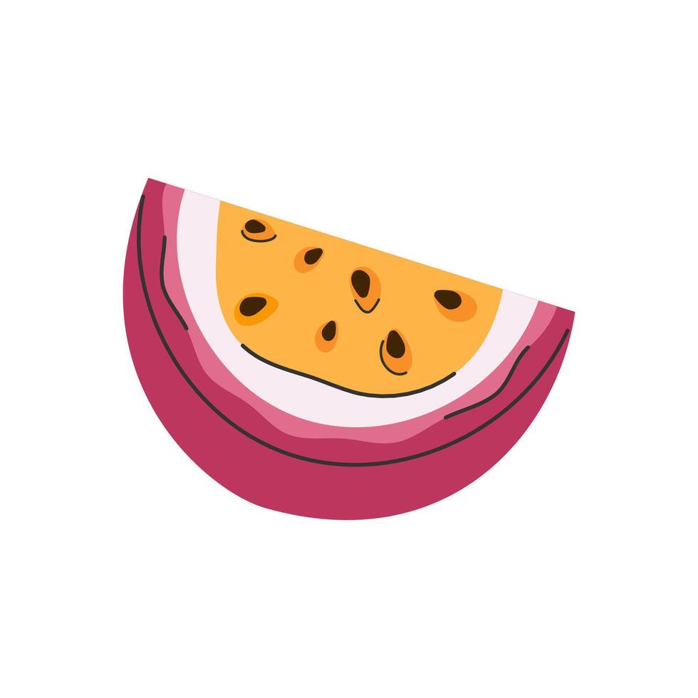 Hand drawn quarter of passion fruit in doodle style. Slice of fruit for healthy lifestyle vector