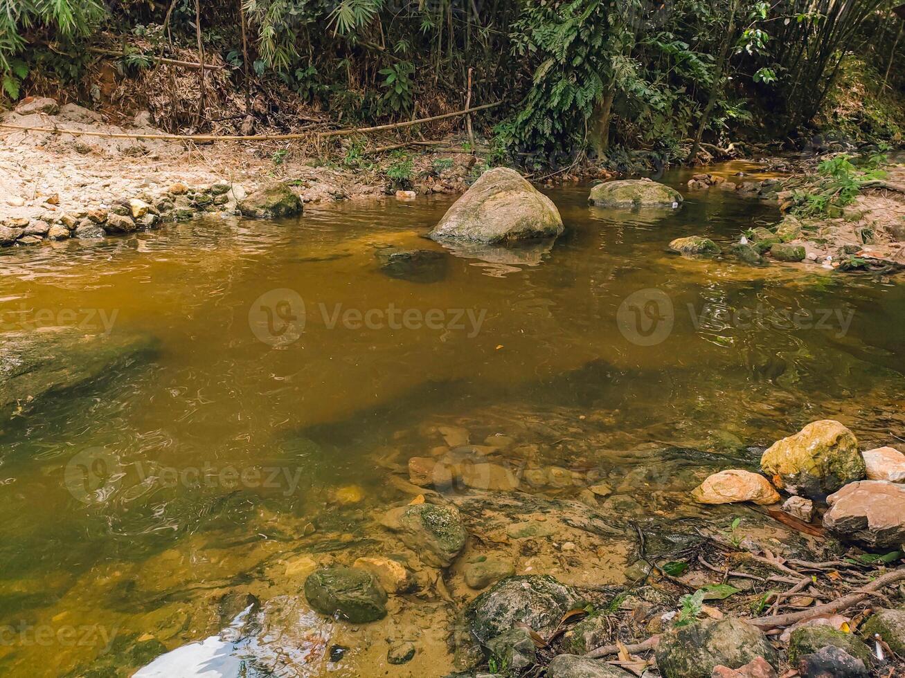 Clear water in Kemensah, Malaysia reflects vibrant green foliage, creating a peaceful atmosphere near a tropical getaway. The scene invites relaxation and connection with nature. photo