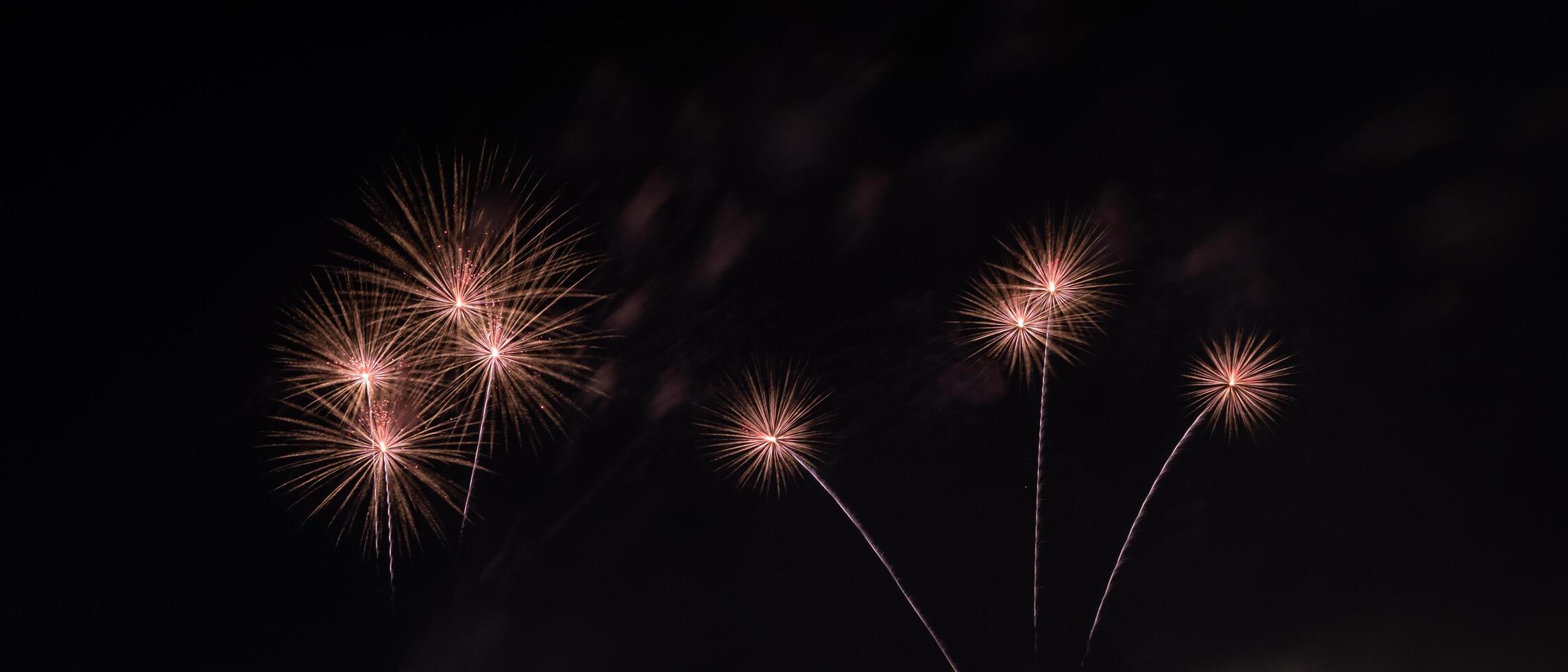 fireworks in the night sky photo