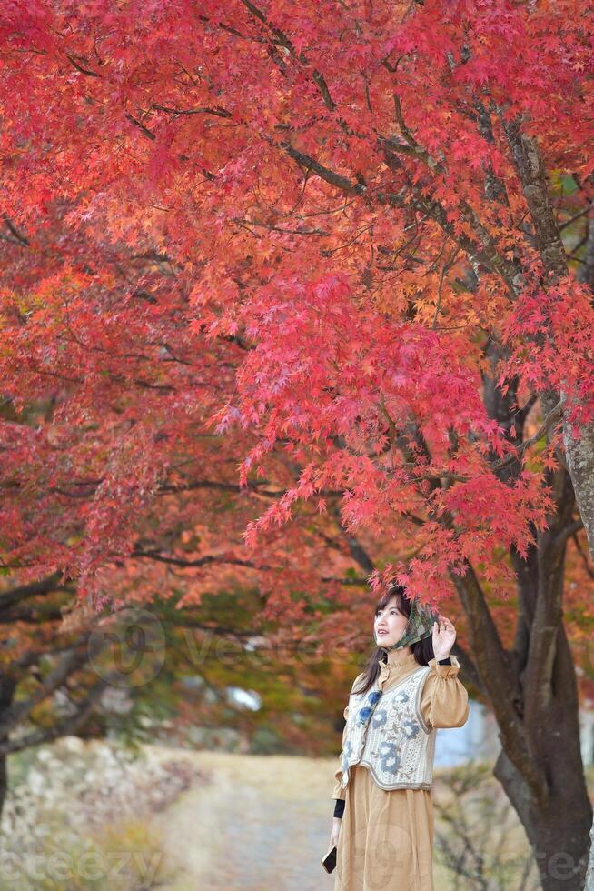 Asian woman in casual dress embraces the beauty of Japan's autumn. A holiday portrait capturing friends, selfies, and joyful moments by the lake near Mount Fuji. photo