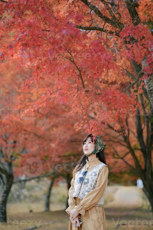 Asian woman in casual dress enjoys Japan's beauty, walking amid vibrant foliage. A cheerful holiday portrait capturing the essence of nature, fashion, and a journey. photo