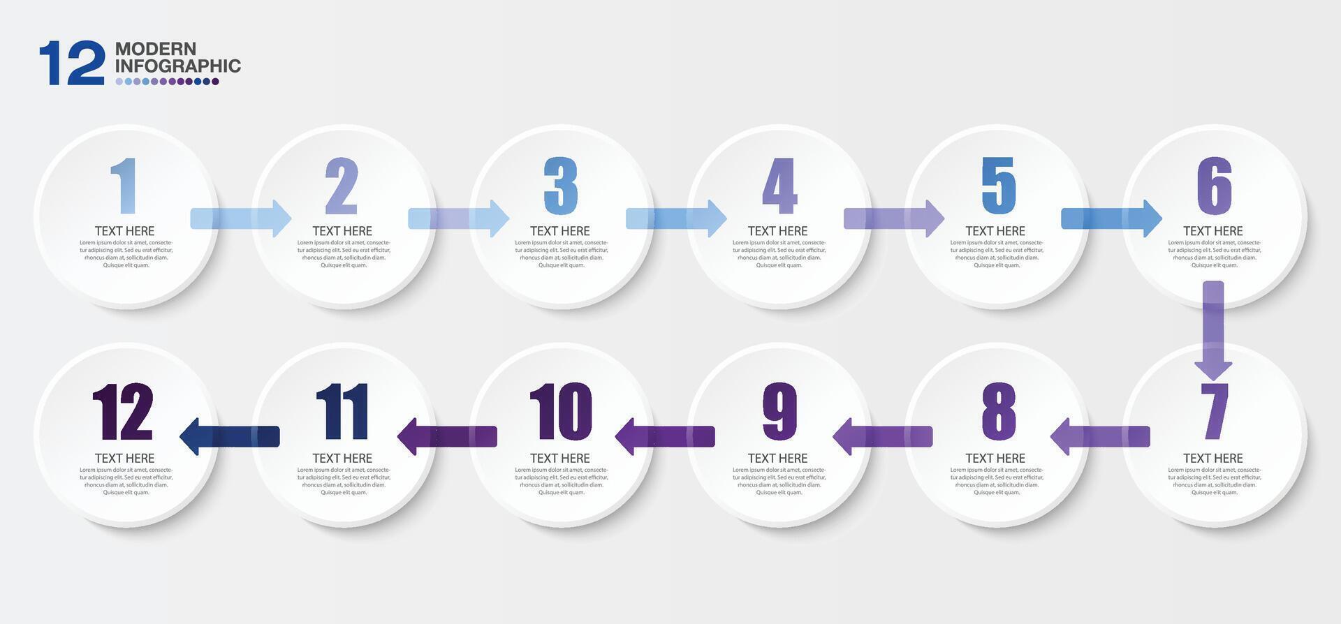 Infographic design with icons and 12 options or steps. vector