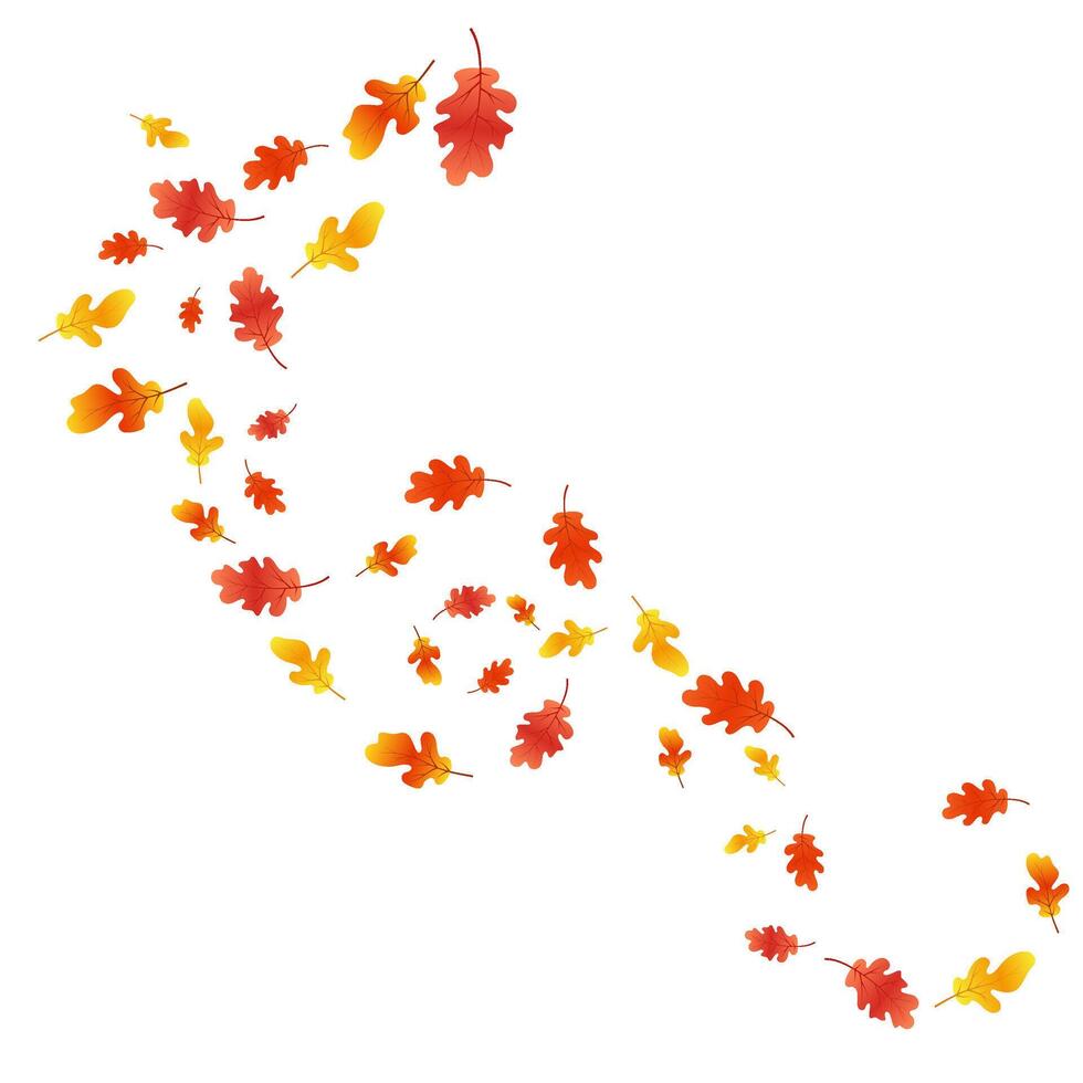 Autumn background with oak leaves. Autumn composition of oak leaves. Autumn overlay on white background. vector
