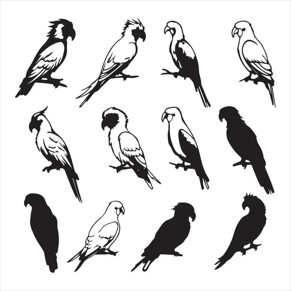 Drawing style of parrot birds set silhouette on white background vector